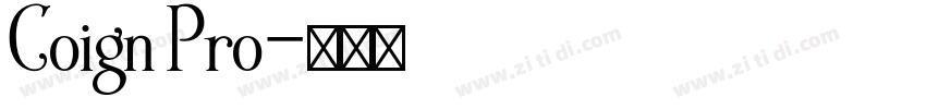 Coign Pro字体转换